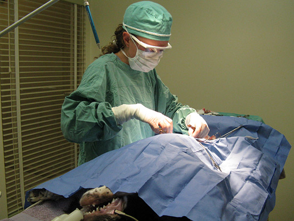 dr-fanton-in-surgery